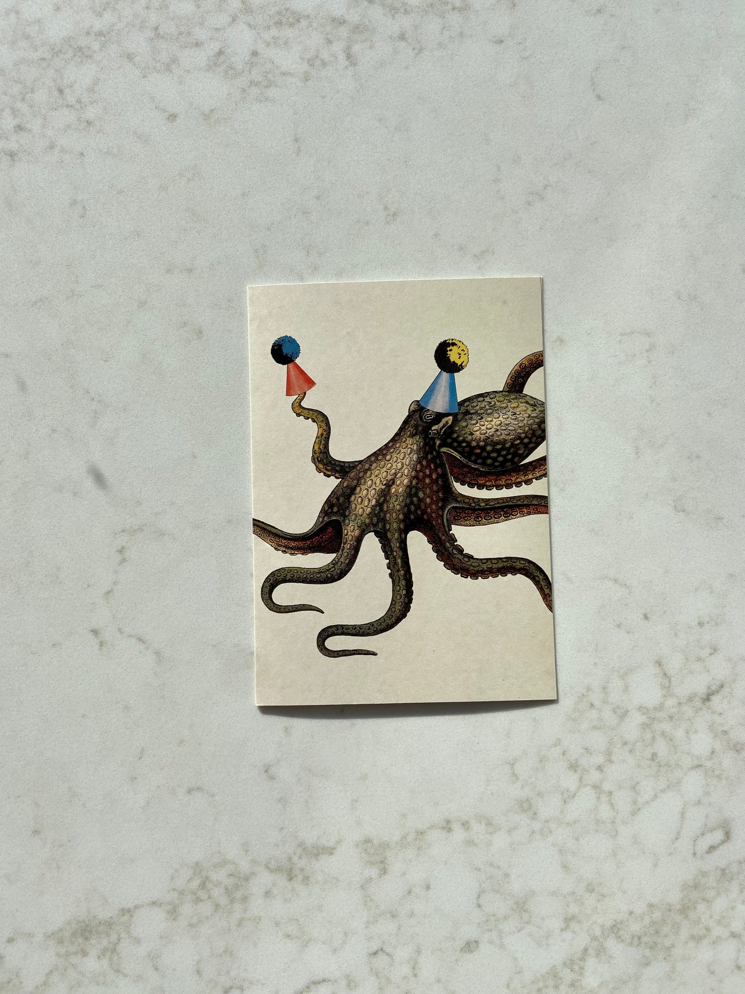 OCTOPUS BIRTHDAY CARD