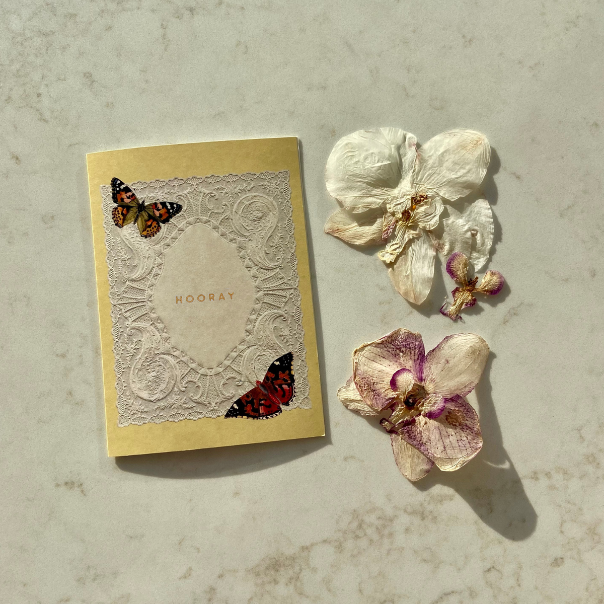 NO.2 PAPER LACE CARD