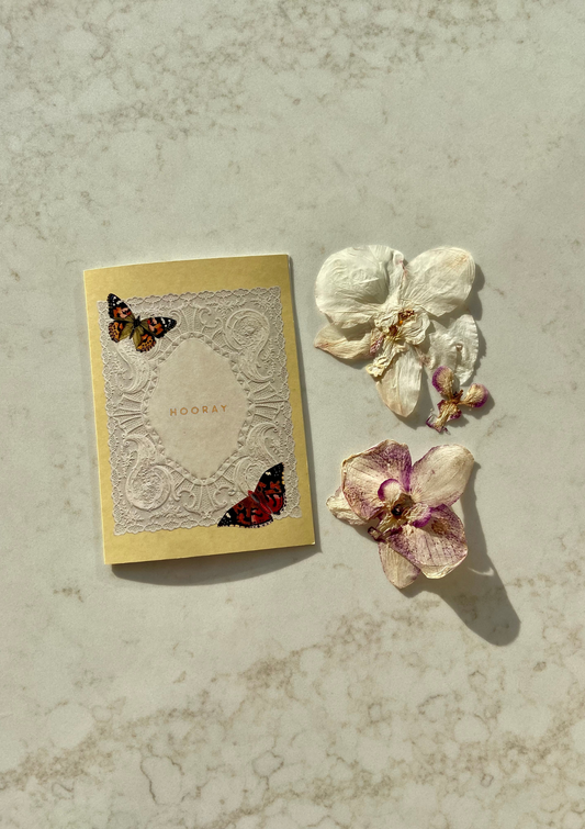 NO.2 PAPER LACE CARD