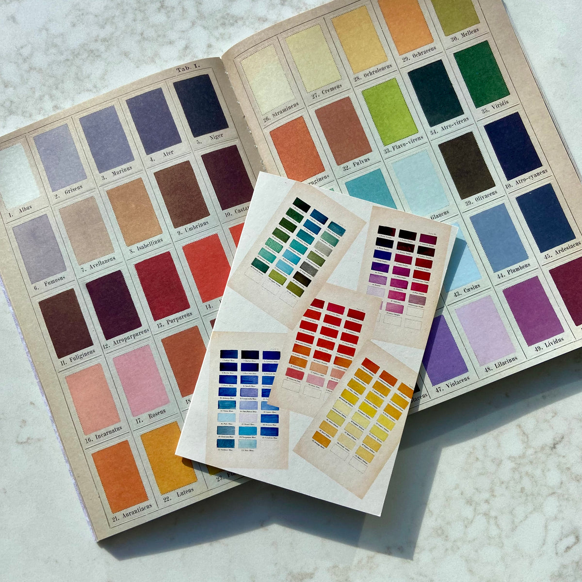 COLOUR CHARTS CARD