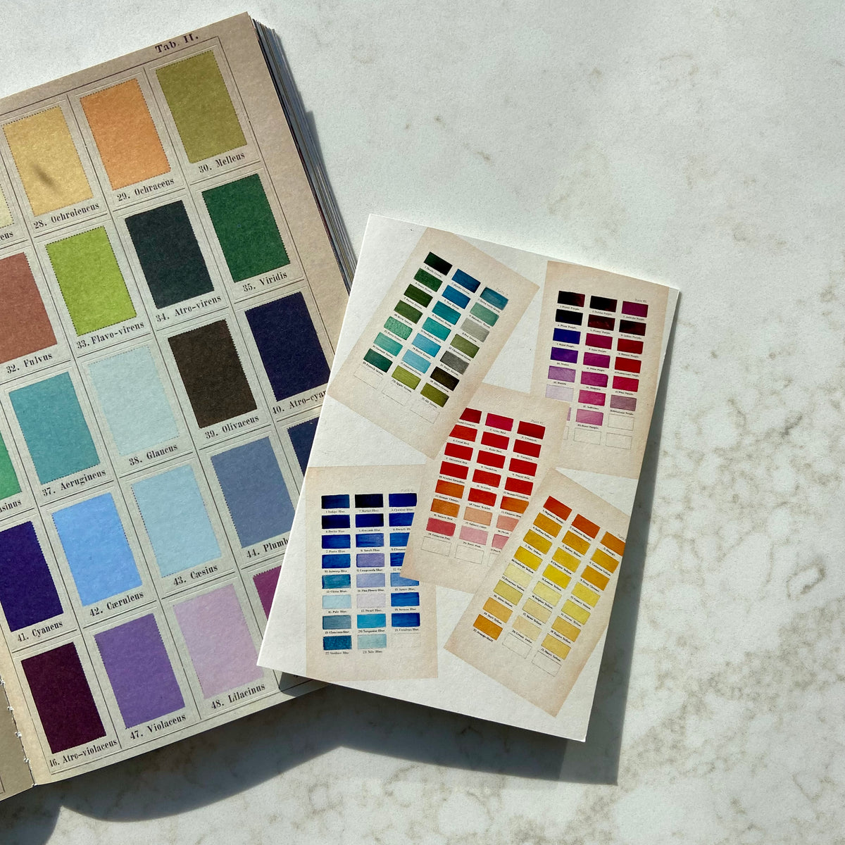 COLOUR CHARTS CARD