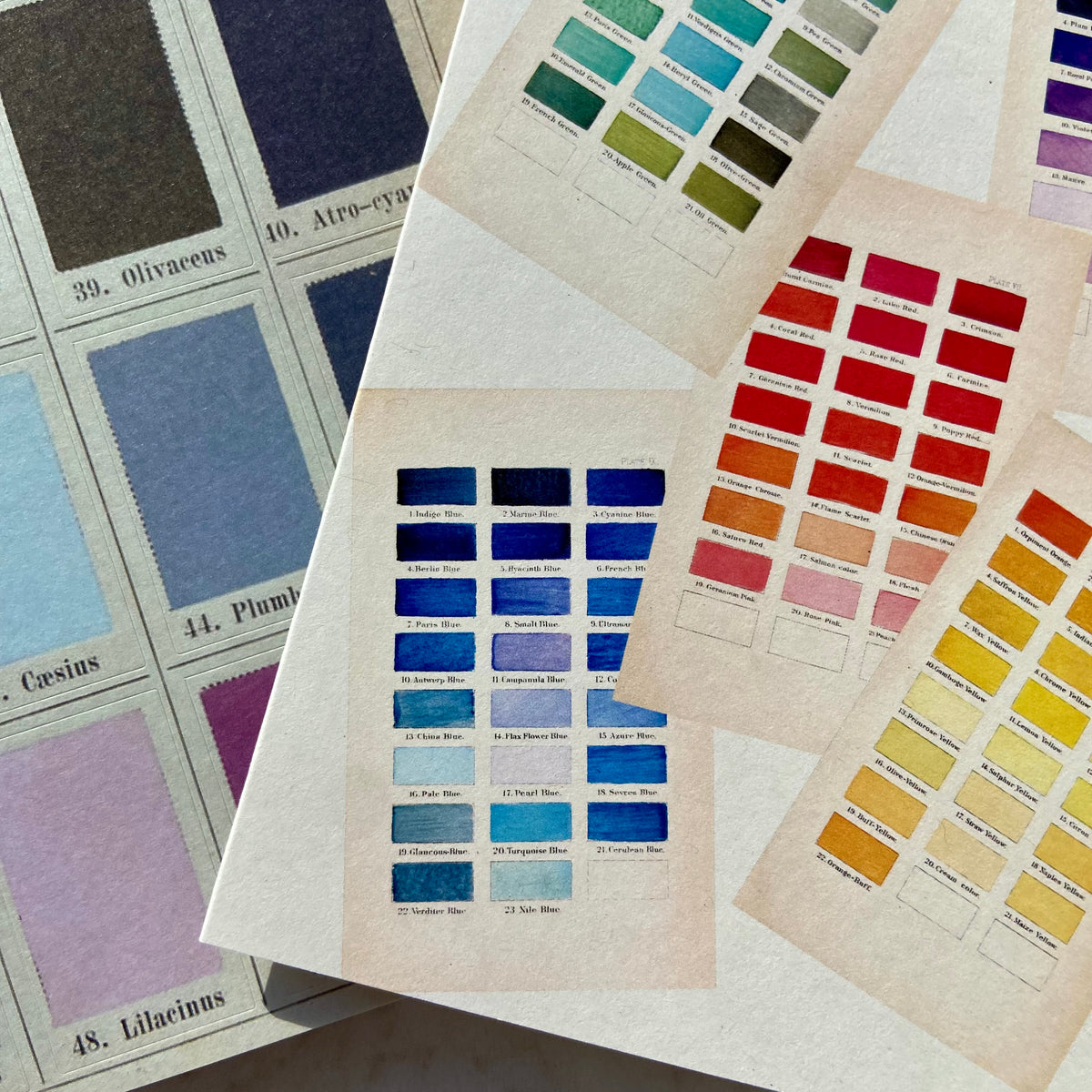 COLOUR CHARTS CARD