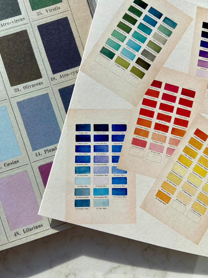 COLOUR CHARTS CARD