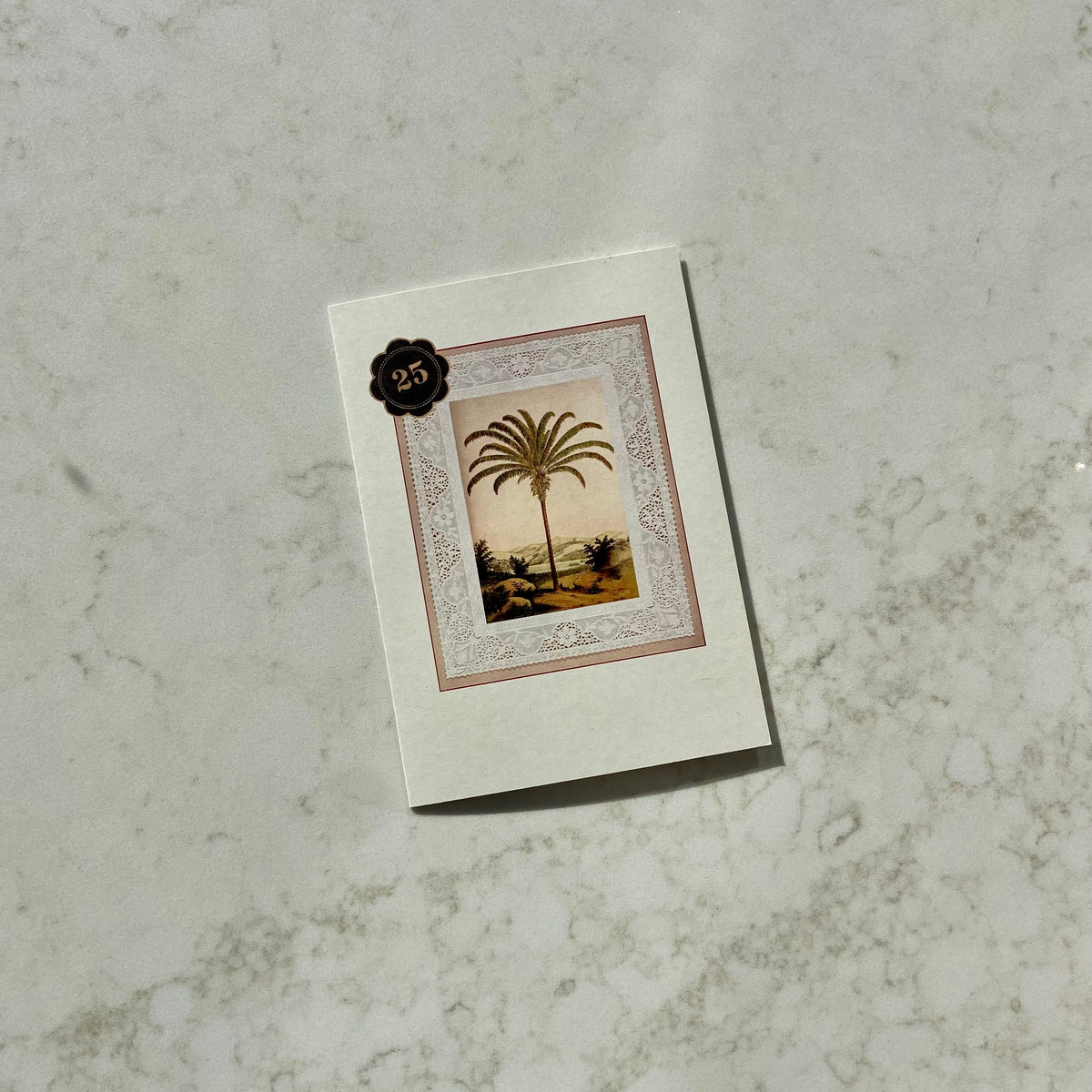 NO. 25 PALM TREE CARD