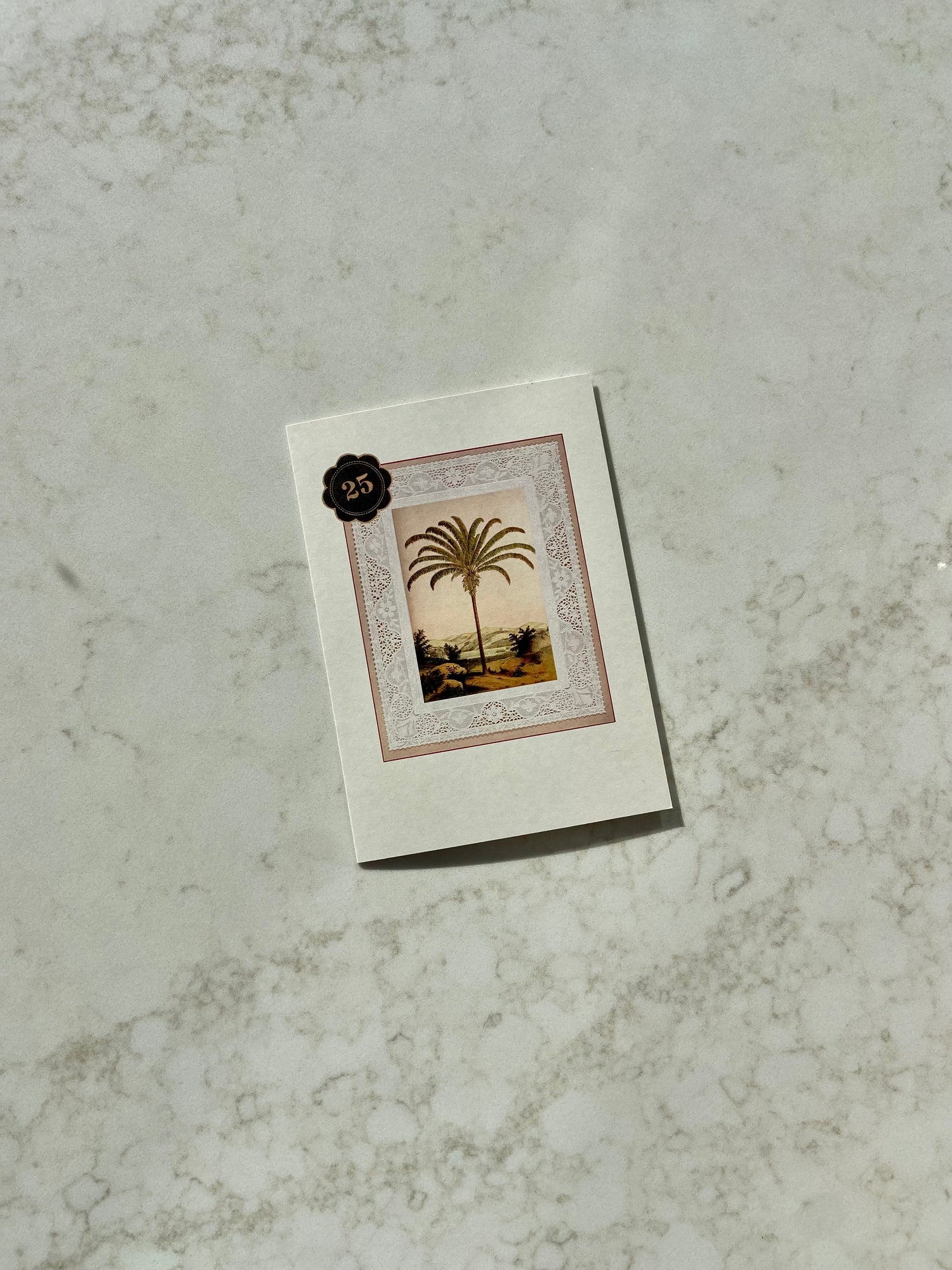 NO. 25 PALM TREE CARD