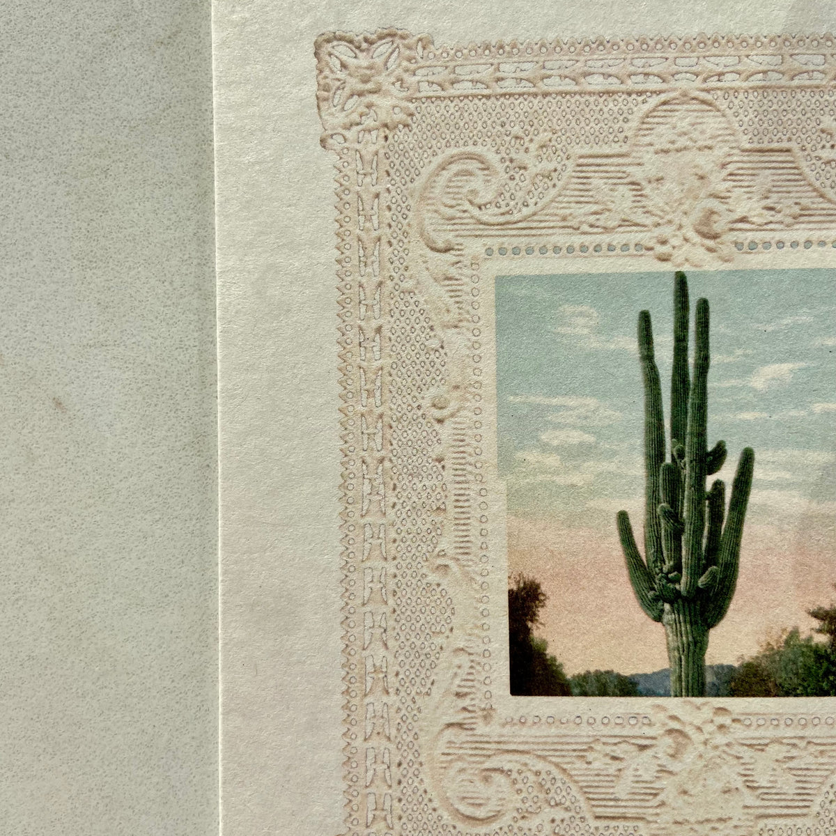 NO. 106 CACTUS CARD