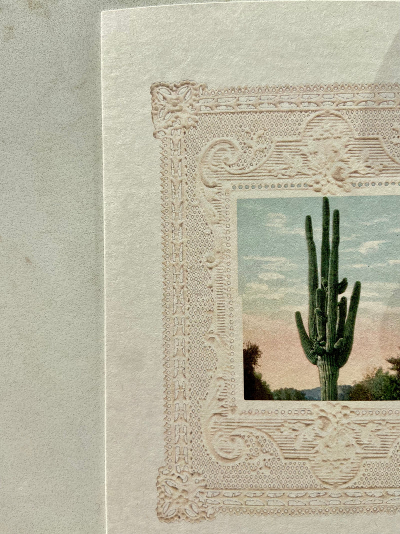 NO. 106 CACTUS CARD