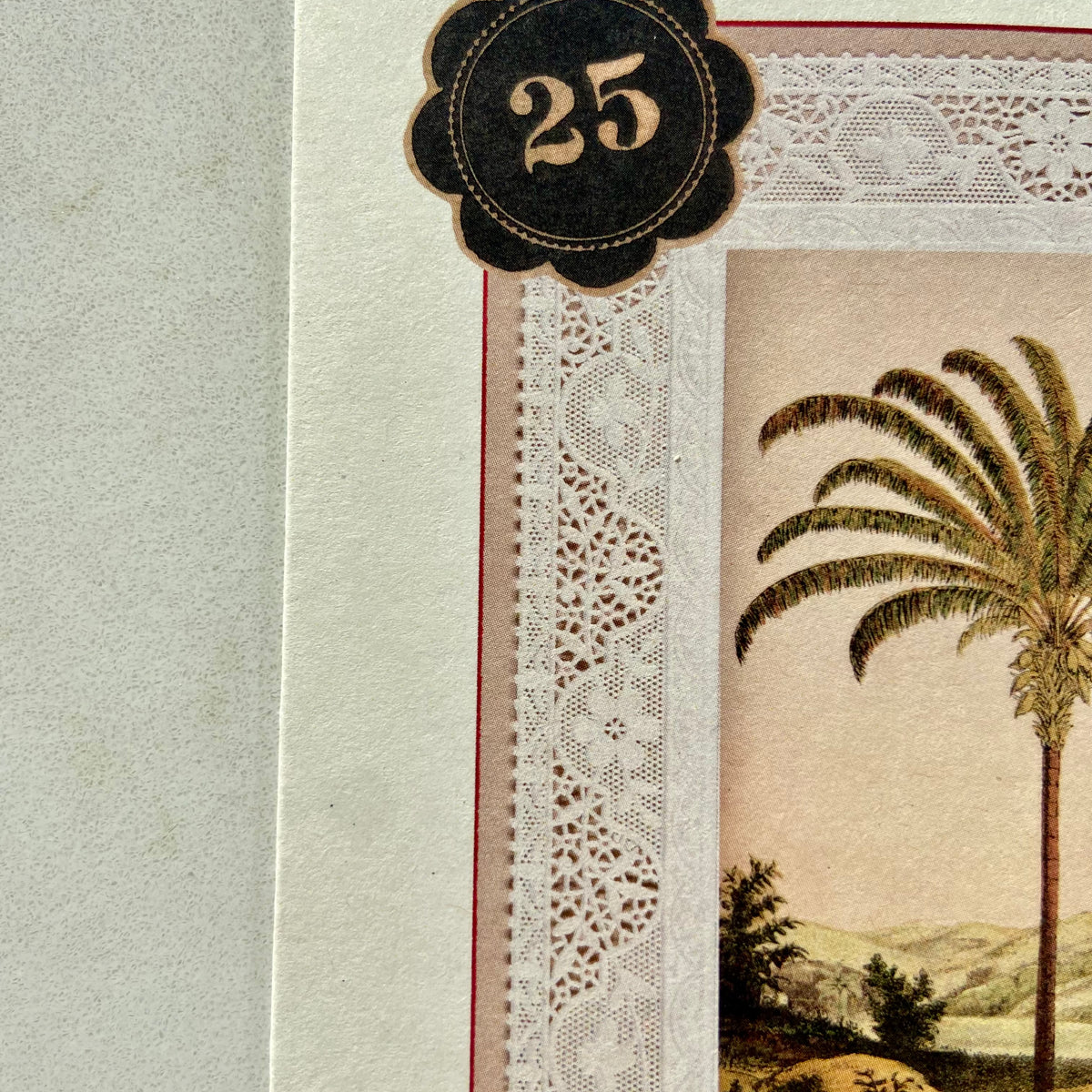 NO. 25 PALM TREE CARD