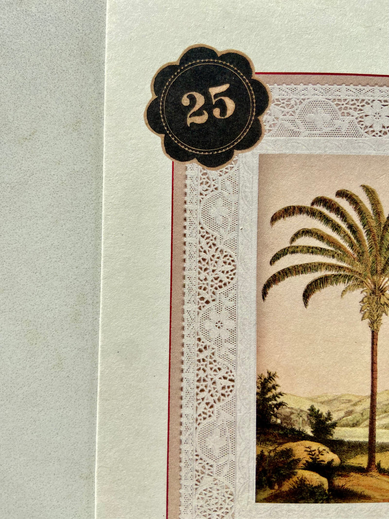 NO. 25 PALM TREE CARD
