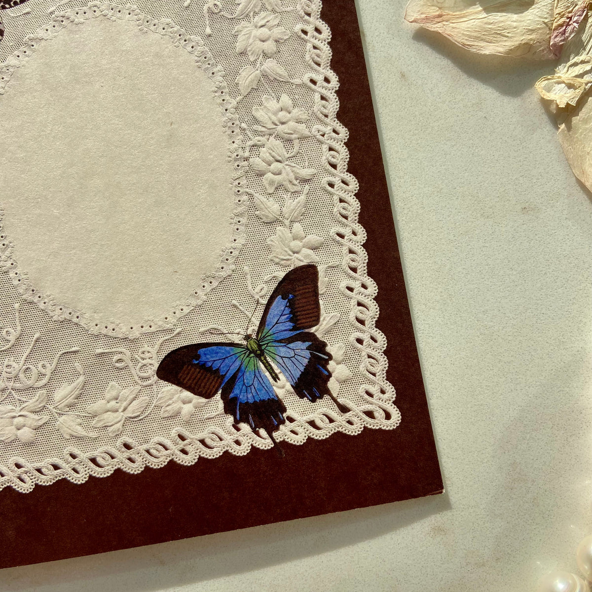 NO.1 PAPER LACE CARD