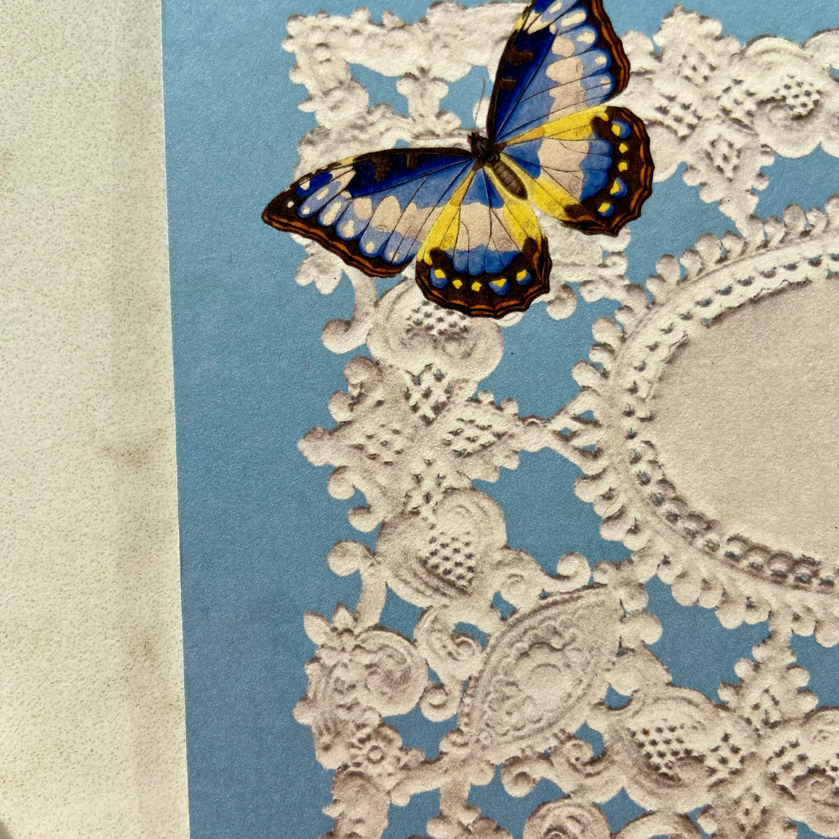 NO.4 PAPER LACE CARD
