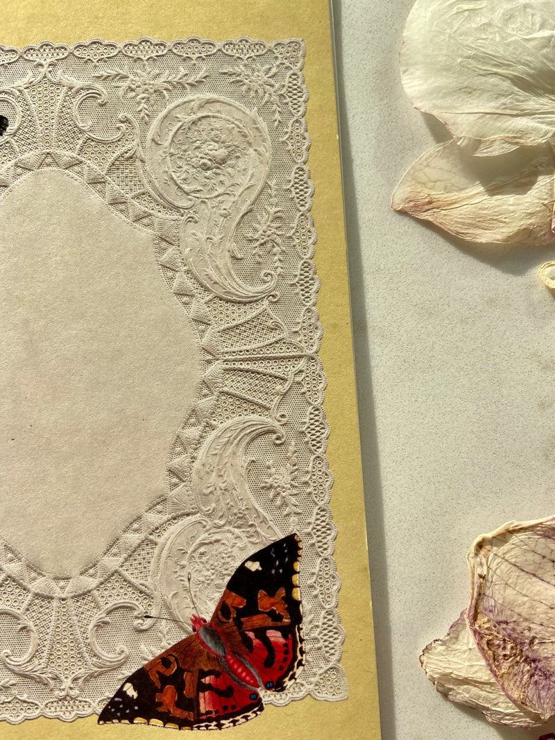 NO.2 PAPER LACE CARD